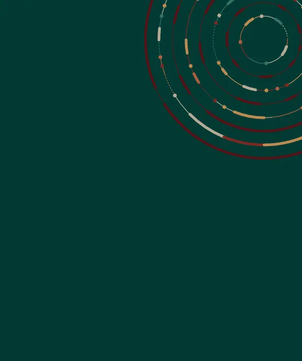 Phoenix Design Aid